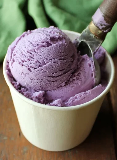 Delicious homemade blueberry ice cream in a bowl.