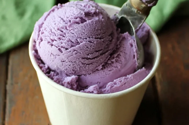 Delicious homemade blueberry ice cream in a bowl.