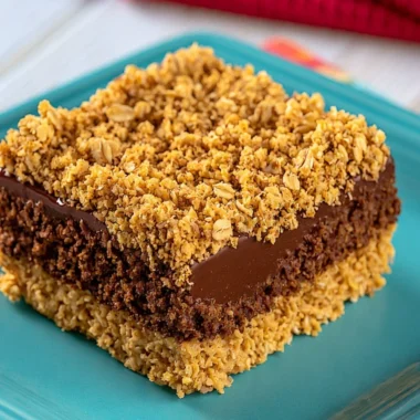 No-bake chocolate peanut butter oat bars on a plate with toppings