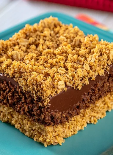 No-bake chocolate peanut butter oat bars on a plate with toppings