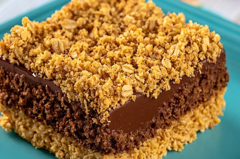 No-bake chocolate peanut butter oat bars on a plate with toppings